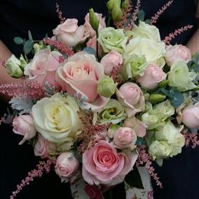 fwthumbBrides (2).jpg